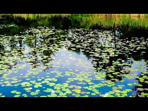 Dji Mavic Mini Cinematic upscale to 4k - camping Eden- Dormelletto, Lago Maggiore-