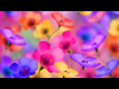 48th St  Collective — Breakfast In America