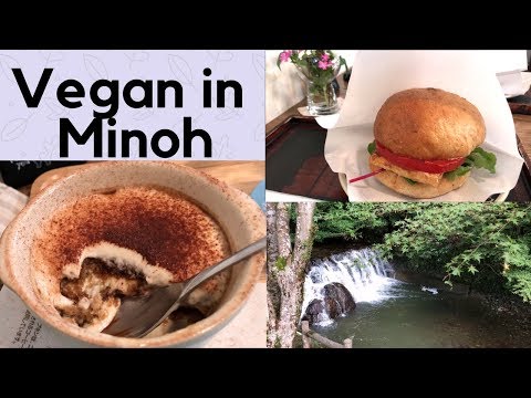 What I ate in Minoh with Family Members (VEGAN) - Tiramisù, Waterfalls and Marshmallows