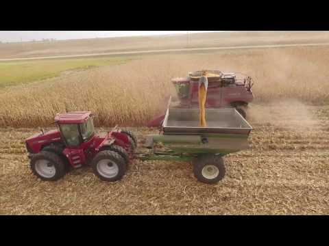 Corn Harvest 2016