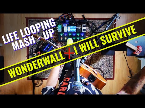 Carl Wockner - I WILL SURVIVE WONDERWALL (Live Looping Mashup)