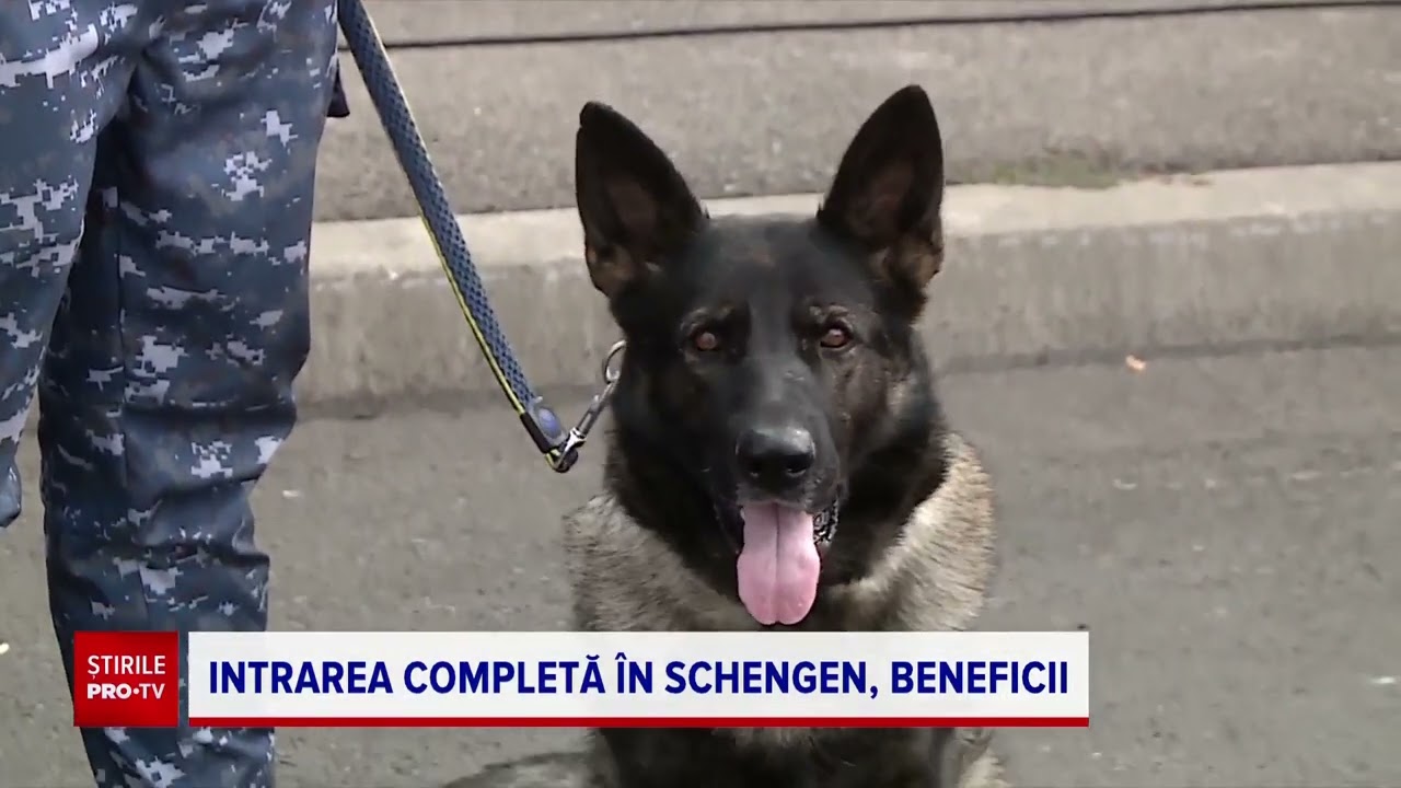 Cât de importantă este, în bani, intrarea integrală a României în Schengen