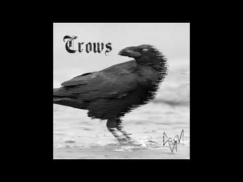 C R V R M - Crows