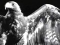 Seal - Come see what love has done