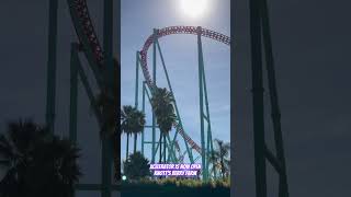 Download lagu Xcelerator Now Open at Knott's Berry Farm #cowmissing #knottsberryfarm mp3