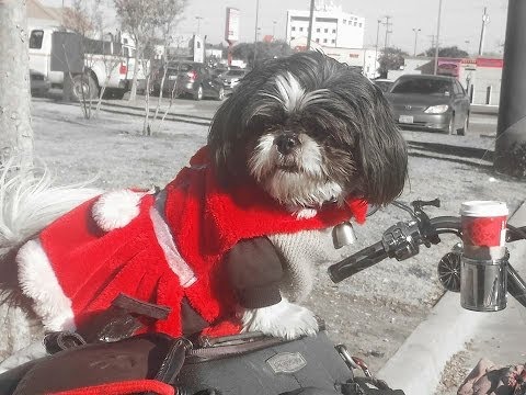 EVENSTAR-ISABEL BAYRAKDARIAN