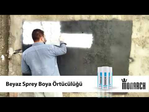 Beyaz Sprey Boya Örtücülüğü