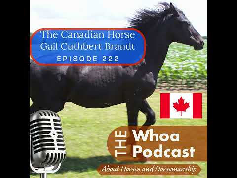 , title : 'Exploring the Canadian Horse: Talking with Gail Cuthbert Brandt'
