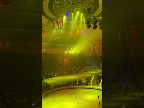 Жесткое падение😱 #circus #extreme #цирк #crazy #tricks #flyingtrapeze #amazing #fail #lol #падение