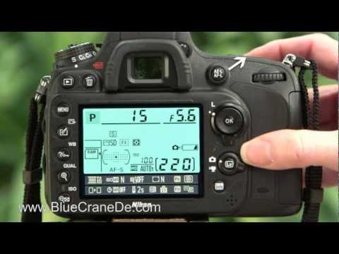 Fotografieren mit der Nikon D600: Ein Video-Tutorial
