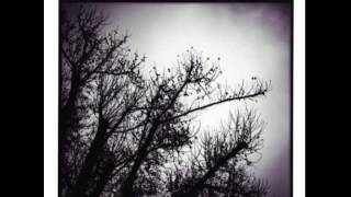 Brian Blade - Most Precious One