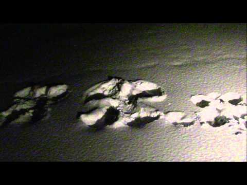 Thumbnail for Why Art Thou Disquieted video