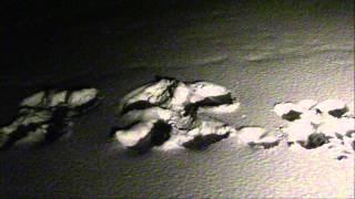 Why Art Thou Disquieted