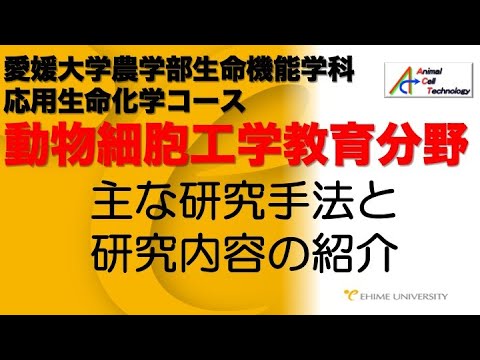 生命機能学科 0008　動物細胞工学教育分野の概要説明　PART2