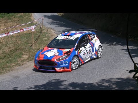 Clip Personalizzata Riccio - Menchini Ford Fiesta R5 11° Rally di Alba 2017