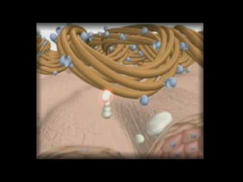 SKINEEZ SKINCAREWEAR.flv