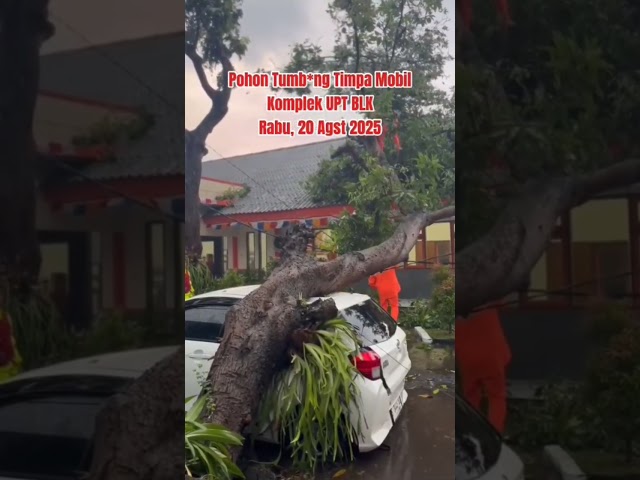 Palang Merah Indonesia