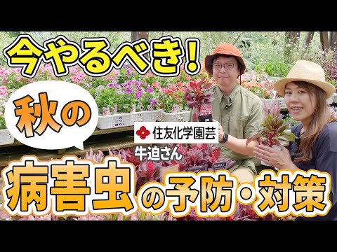 園芸 カミフォリア園の自然管理