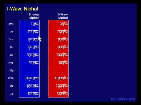 35.06   I Waw Niphal