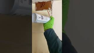 Getting Rid of German Cockroaches | Home Pest Control | Versa-Tech PM