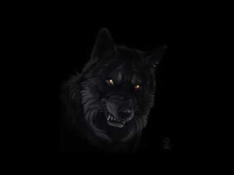 SCP-2574 - Quái vật tàn ác