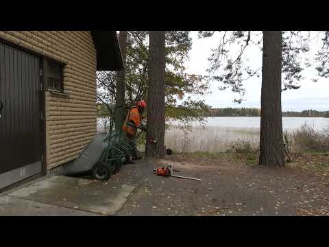 Metsolan Metsäkoulu 301 - Konkelon purku helposti napatekniikalla