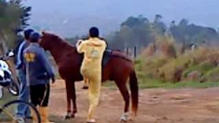 preview picture of video 'caida de caballo en zapatoca'