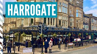 HARROGATE in YORKSHIRE – Is the UK's 3rd POSHEST Town Worth Visiting? | Walking 