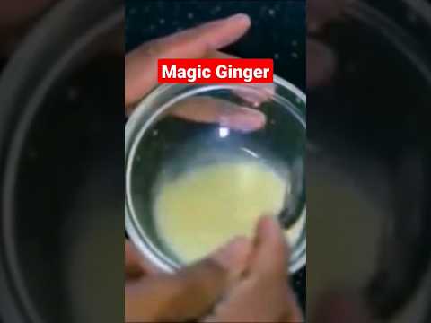 Magic Ginger... Get rid of Rat.. #shortsvideo #tips #mrmaker #mouse