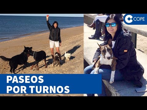 Pilar Cisneros y sus 5 perros
