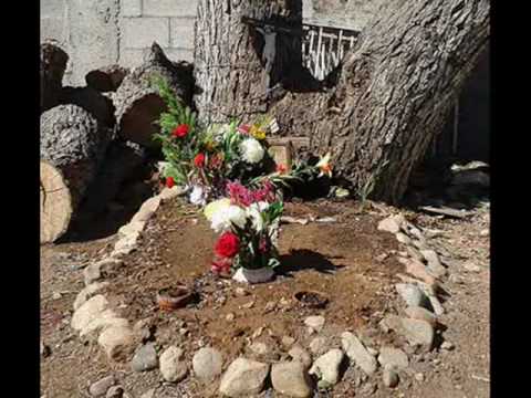 Quiereme ahora que estoy vivo - Hermanos Tejada