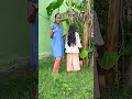 Panakkaran Songs
