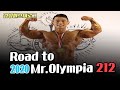 로드투올림피아212Division[김성환브이로그]Road to Mr.Olympia2020