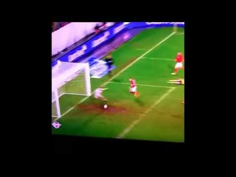 Xherdan Shaqiri Amazing Backheel goal !