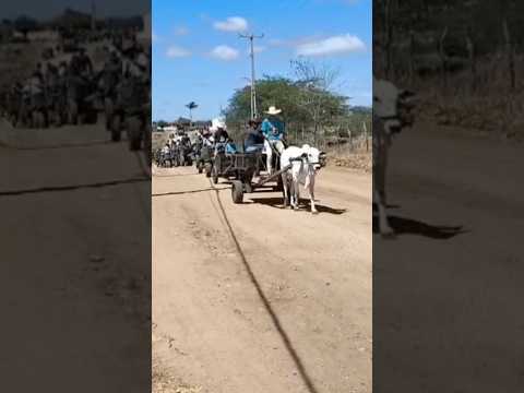 2 CARROCEATA DOS PRODUTORES RURAIS DE CATURITÉ PARAÍBA 2025#shorts