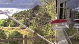 preview picture of video 'Hummingbirds at Navajo Lake State Park'