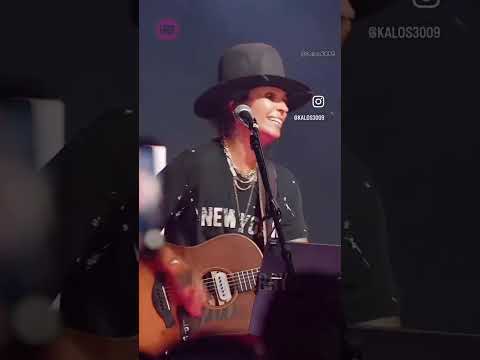 LINDA PERRY ♬ WHAT'S UP