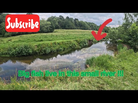 Fishing for BIG chub In a small river | 4K underwater footage…!!! 🤯🤯🤯