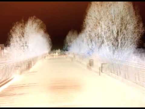 Décalogie de la Nuit II : Banlieue Ouest II (2007) de Gérard Courant