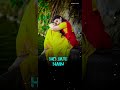 ️Jab Tere Khayalon Me Gumsum Ho Jate Hain 90s Song Full Screen Status Shorts Viral Trending