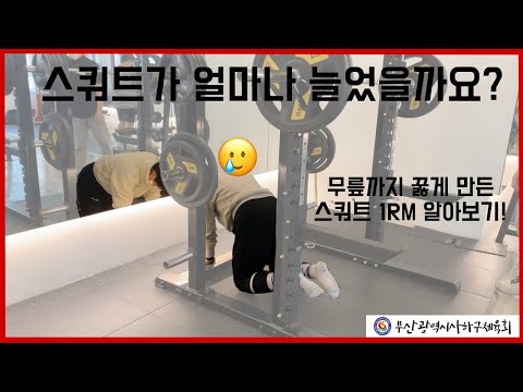 사하구체육회 지도자와 함께하는 헬스 고급자를 위한 영상 1차시