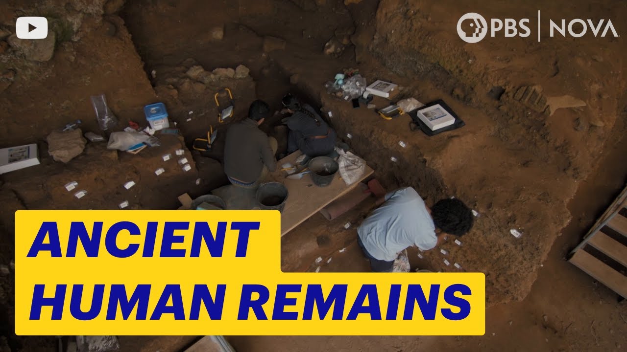 This Discovery Rewrote Human History | NOVA | PBS