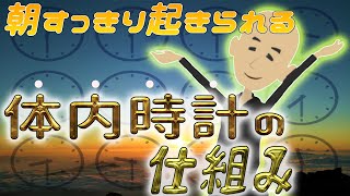 朝、光を浴びて体内時計リセットのメリット