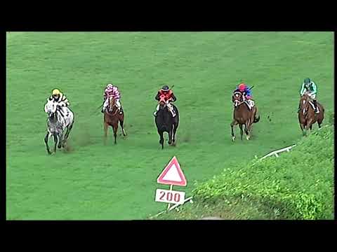 Napoli Galoppo 29/11/2021 - 4ª corsa