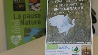 Festival de l'Oiseau en Thiérache : c'est quoi une sortie nature ?