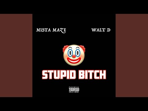 Stupid Bitch (feat. Walt D)