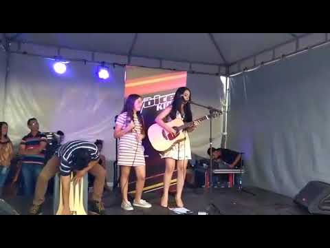 A Flor e o Beija Flor