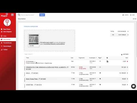 Video Image