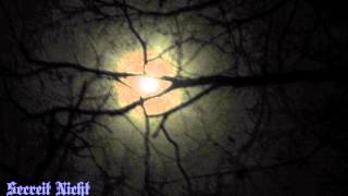 Secreit Nicht - Mediaeval Baebes Cover