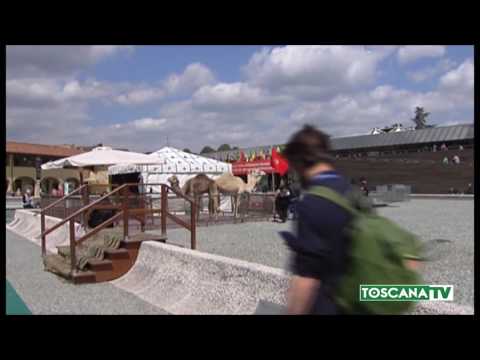 2017-05-02 FIRENZE - MOSTRA ARTIGIANATO FA IL PIENO DI VISITATORI